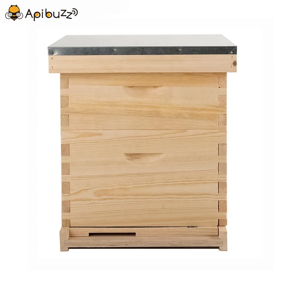 2 Layers 10-Frame Dadant Wooden Bee Hives Apiculture Beekeeping Beehive Equipment Tool Beekeeper Supplies