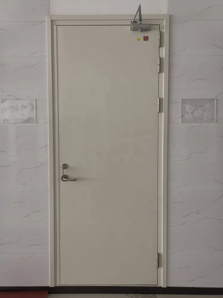 CE Certified Fast Delivery Fire Rated Exit Steel Door Insulated Double Leaf Fire Door For Apartment Fireproof Door
