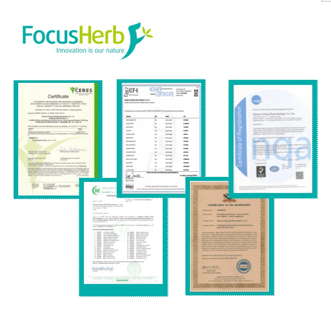 
FocusHerb Pygeum Extract 13% Phytosterols Powder 