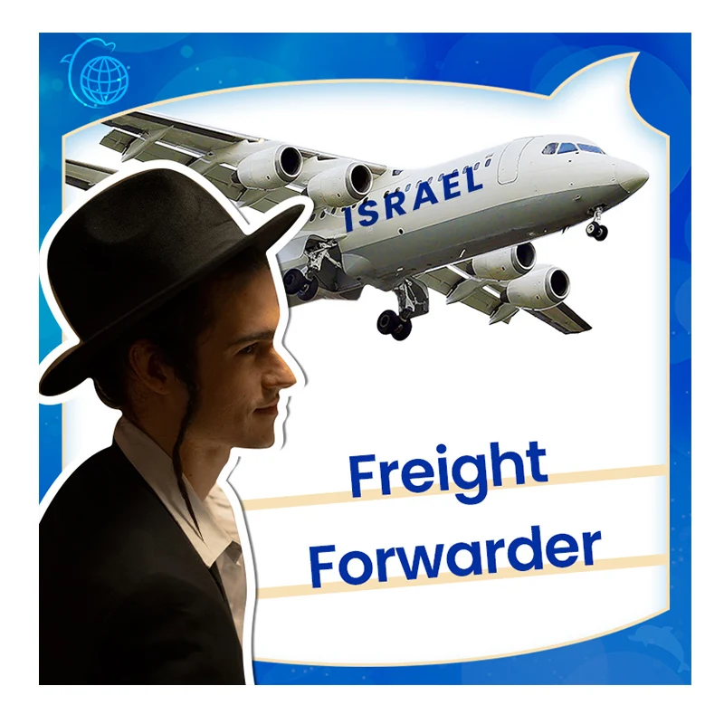 professional freight forwarder shipping from china to Israel by sea air and express with DDP
