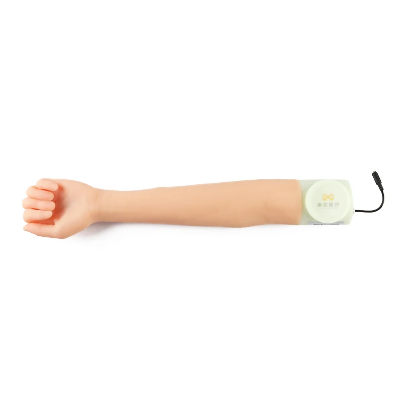 Ultrasound guided surgical training model Medical of venipuncture arm
