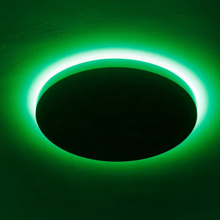 Round 24W 36W Surface MountI LED Music Ceiling Light with Speaker Smart APP Control RGBW