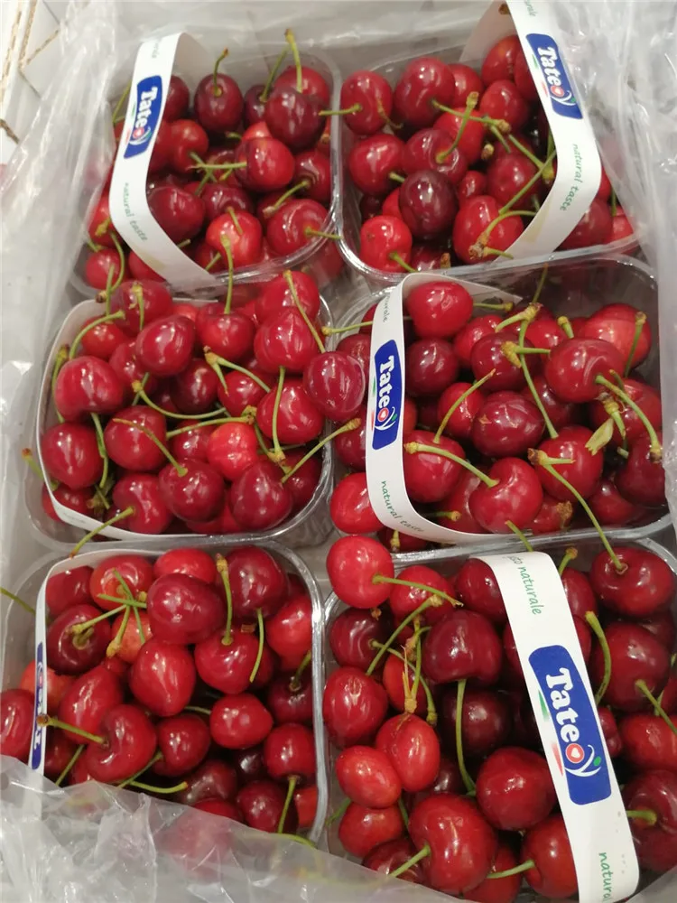 Italy Premium Cherries Fresh Cherry Fruit