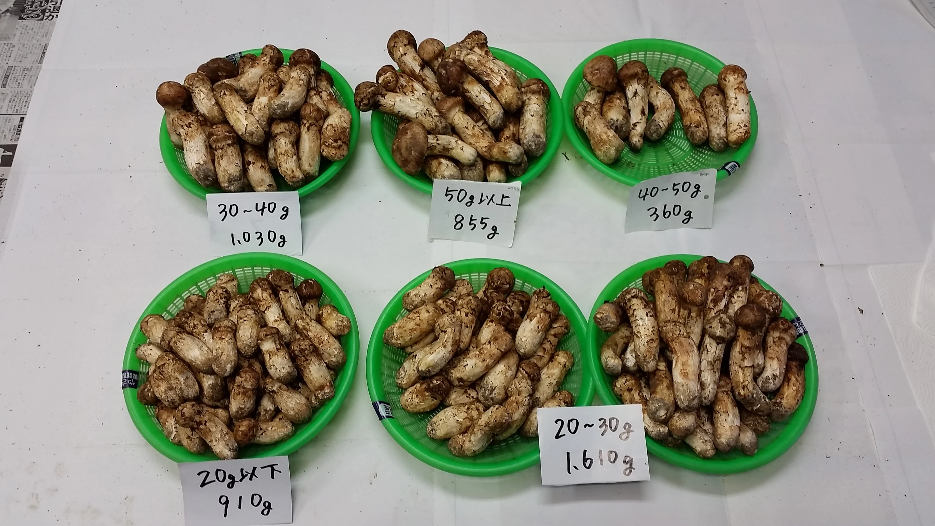 Freshly Harvested Natural Dried Pine Buy Mushrooms From Japan