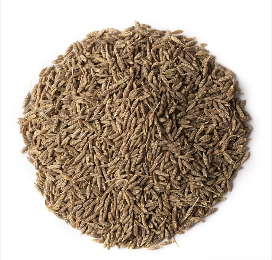 Organic Cumin Seeds single spices cumin seed cumin-price Sesame seed Agriculture Best Product From Thailand