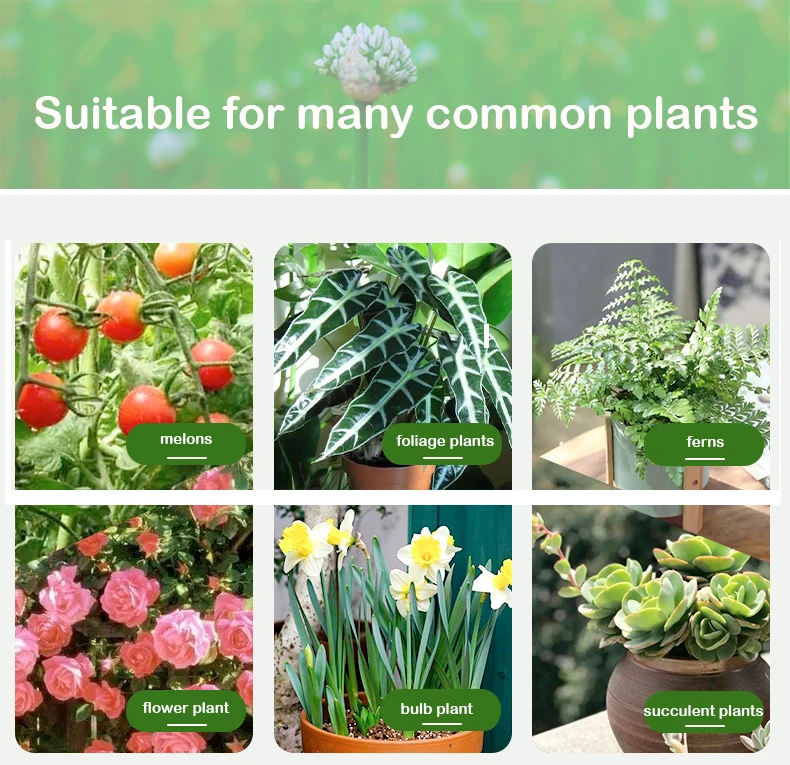 Оптовая продажа, бренд oem, бутылка 1000 мл, жидкость для сада, роза, Подсолнух npk 6 5 6, производители удобрений из Китая