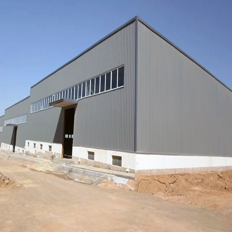 China Professional Supplier Steel Structure Metal Building Warehouse Steel Structure Storage Workshop Factory
