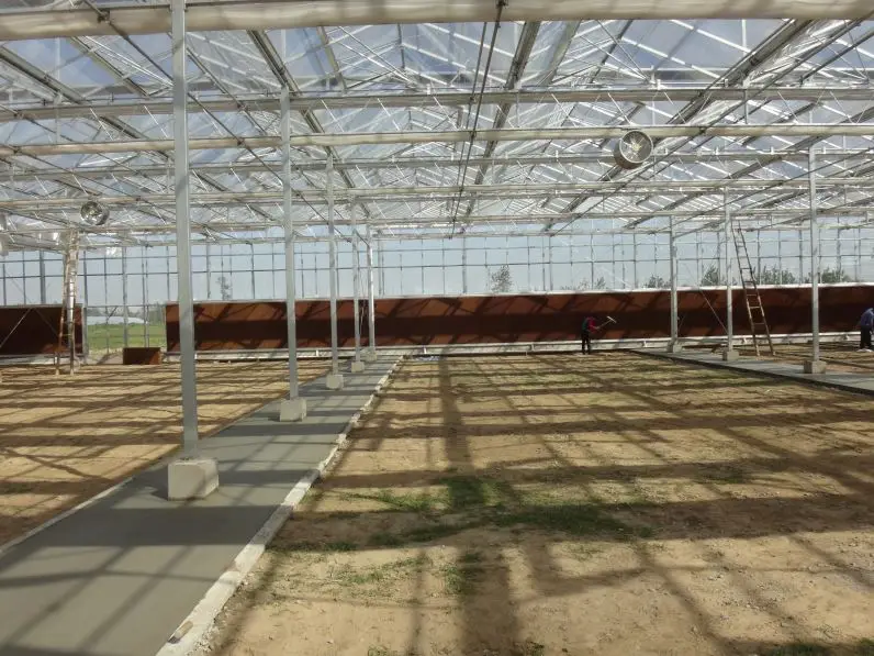 
Cheap price glass greenhouse factory direct sale with equipments keeping good condition for plants 