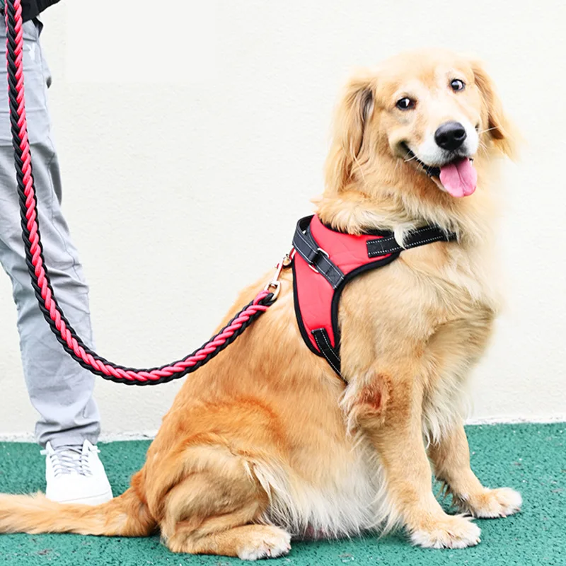 Dog Leash, Dog Rope Harness Suitable for Medium and Large Golden Retrievers, Pet Supplies