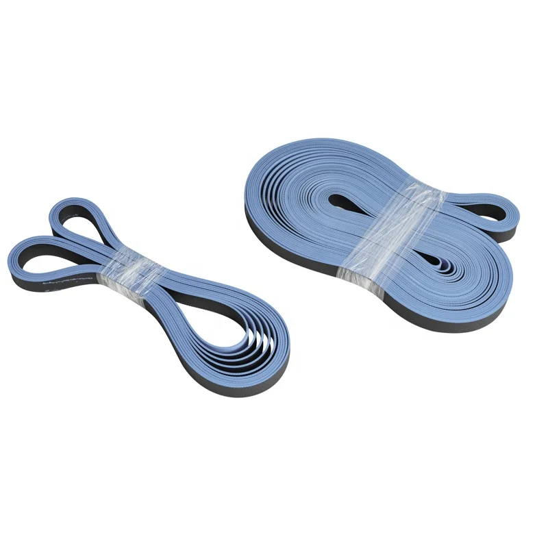 Professional supply efficient layer polyamide flat belts for habasit