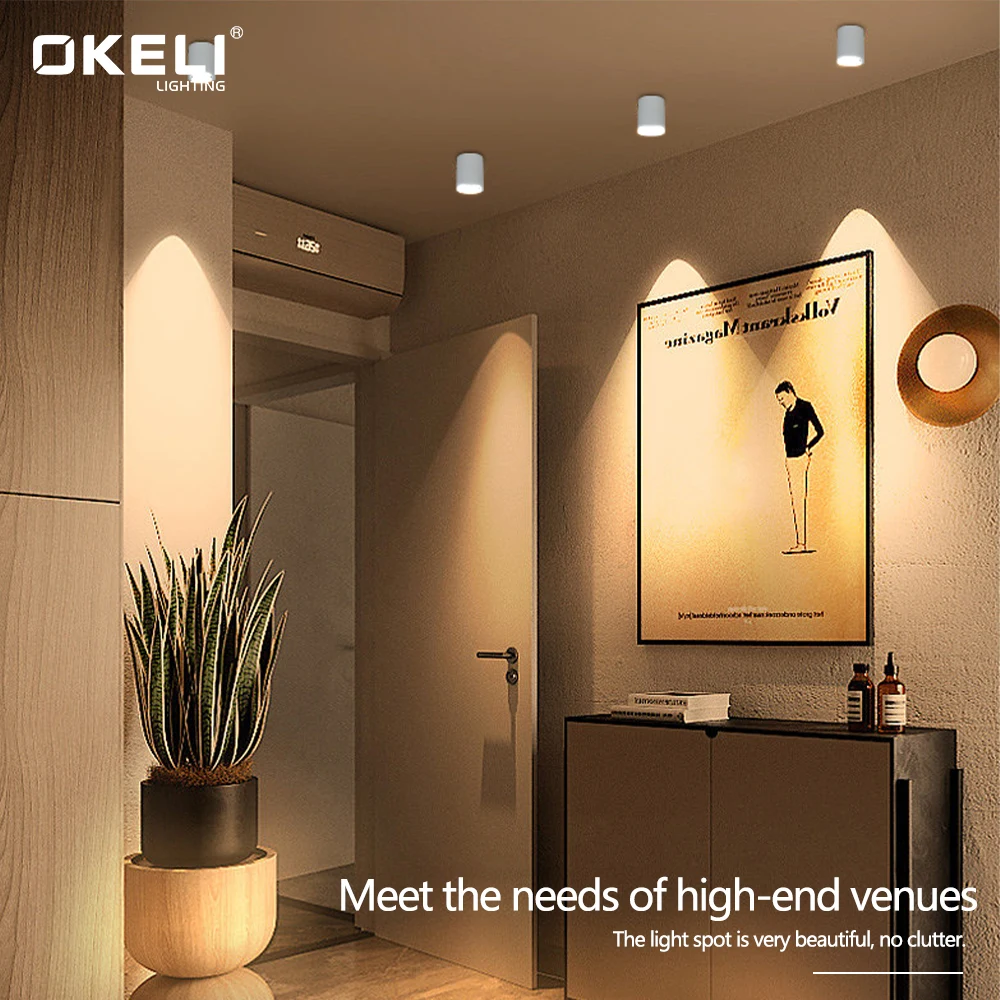 OKELI 220V White Round Living Room Surface Mounted COB Downlights