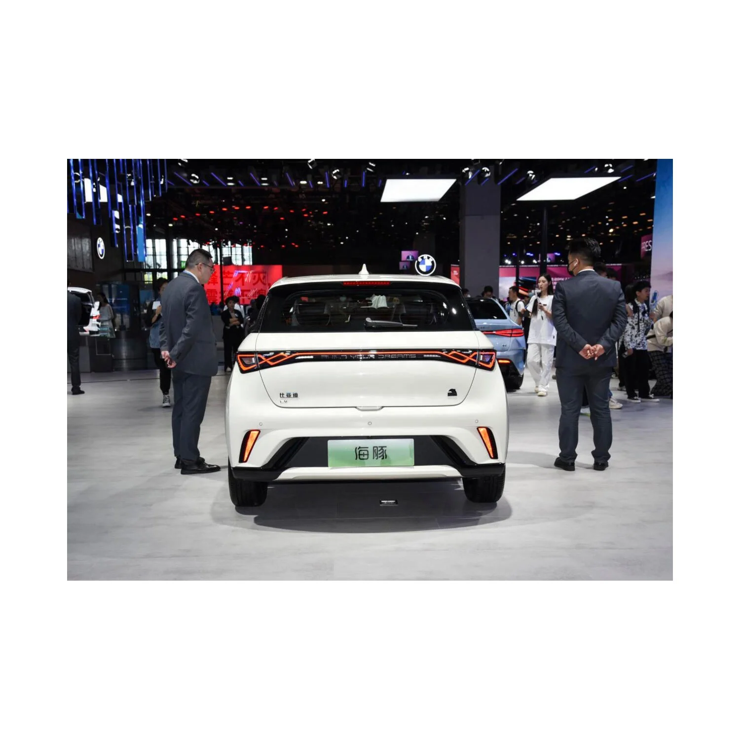 changli  new energy  adult electric car for BYD Dolphin 5 Doors 5 Seats