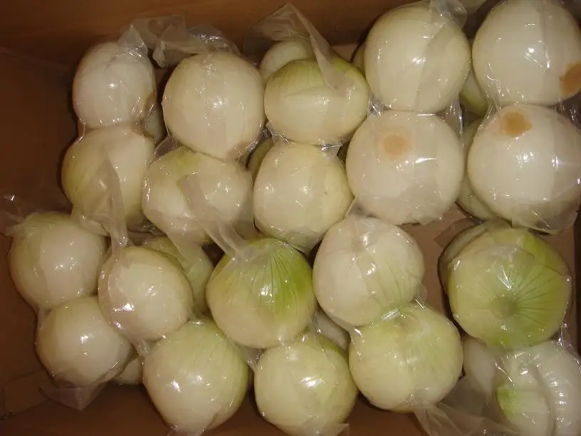 Red/yellow onion fresh wholesale price pack in mesh bag