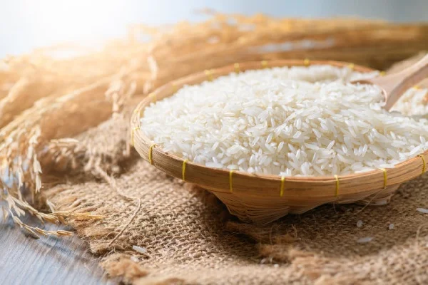 Quality ST 25 Rice Rice from India Max Soft White Crop Long Style Kind Color Origin Type Texture Variety Year Fresh Grain