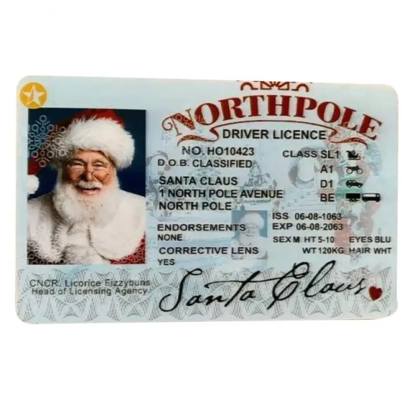 Christmas gift for kids Santa Claus sleigh license sleigh driving license