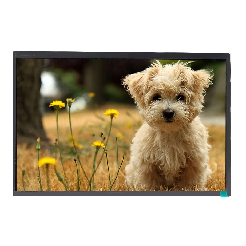 12,2 дюймовый 1920x1200 точек нормальный черный IPS TFT ЖК-модуль антибликовый цветной TFT-экран