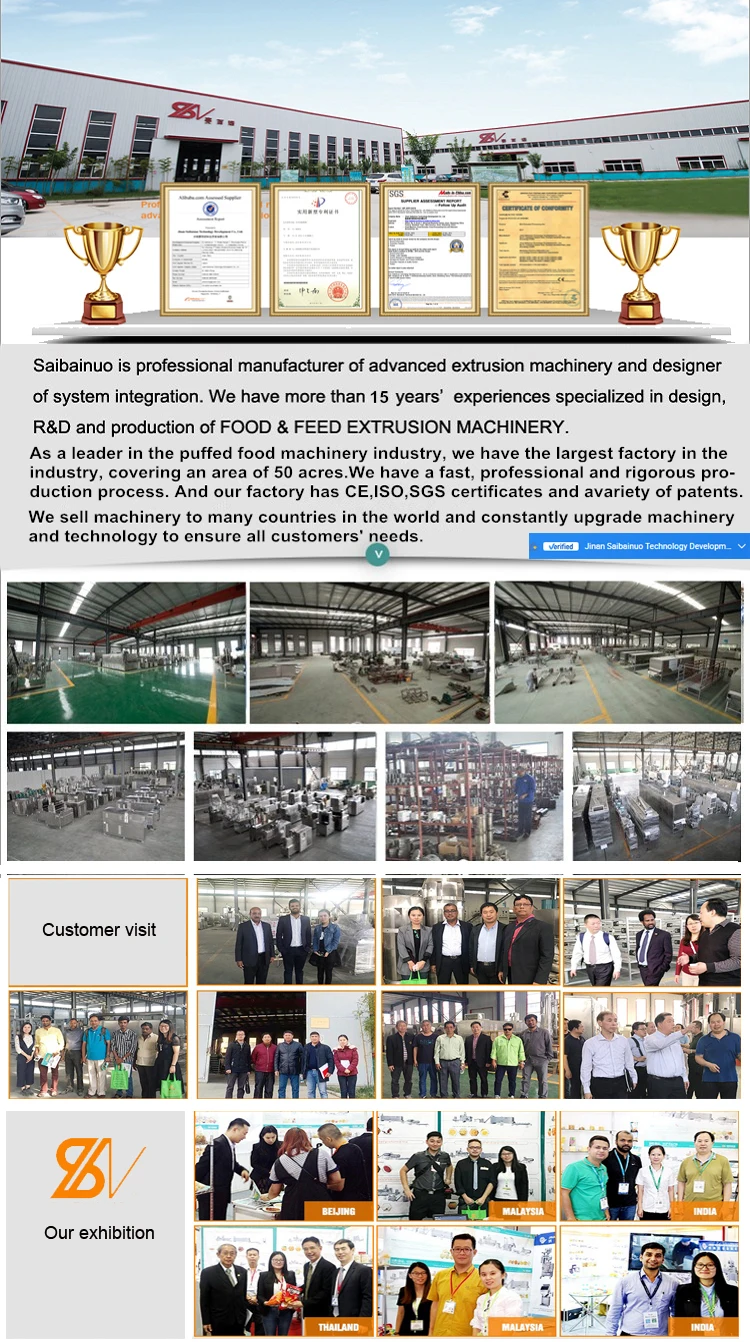 CHINA 100kg/h Fully automatic single color dog pet treats chews snack food machine extruder production line