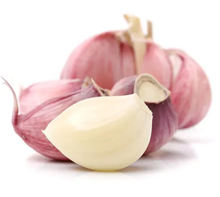Hot Sale Guochen the g1 fresh pure white garlic seeds 10 kg 4.5-5.5 cm shandong origin import sale in china kutsh thailand