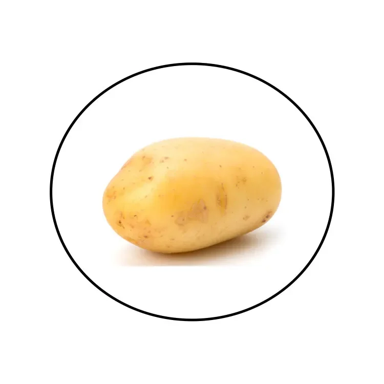 Chinese Supplier Fresh New Crop Vegetables Wholesale Potato Fresh Prices In China For Export Fresh Potatoes