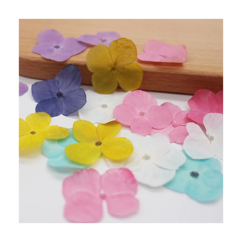 Wholesale Natural Dried Pressed Flowers Hydrangea for Handicraft Nail Decoration