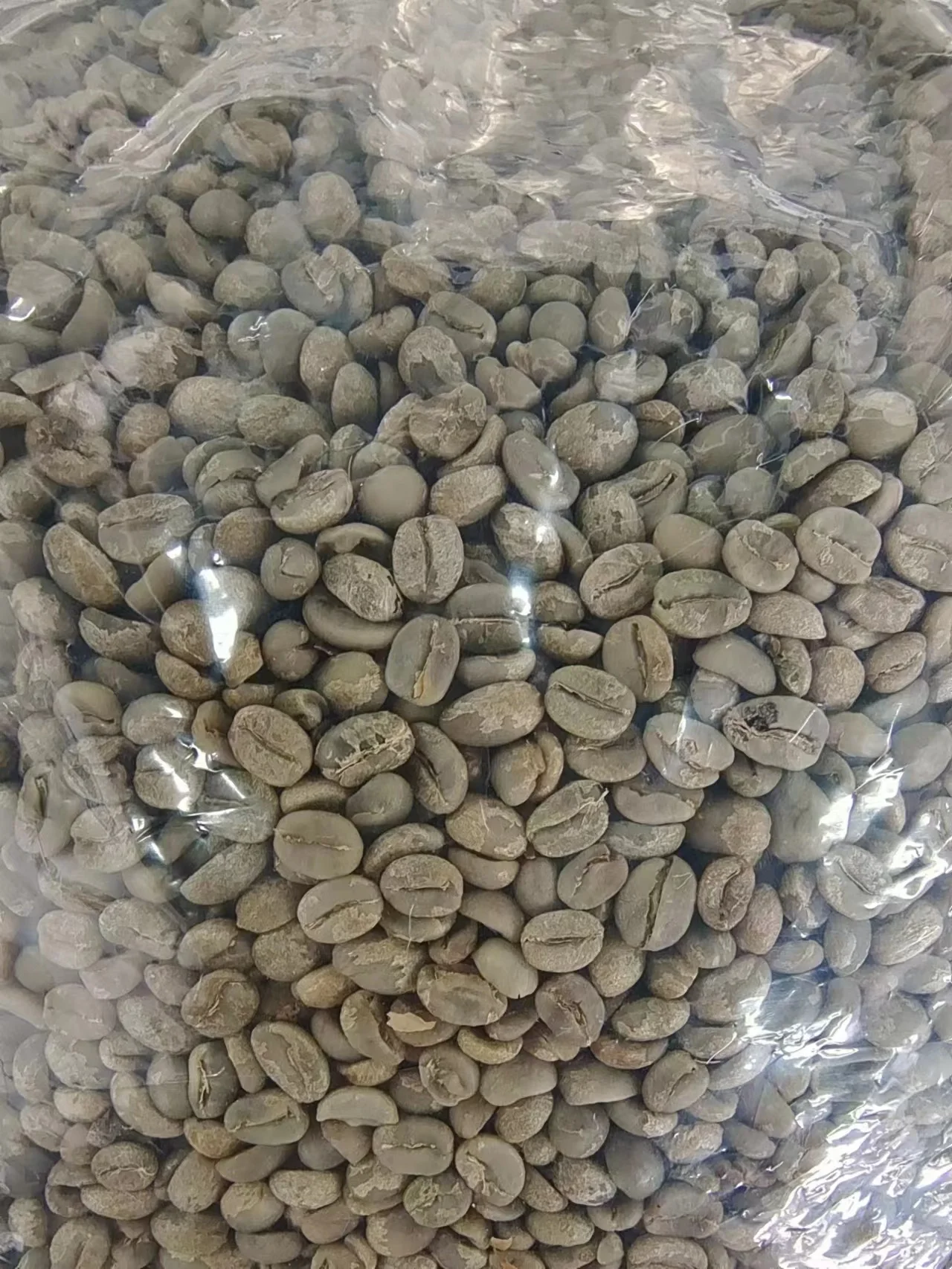 Заводская поставка Yunnan Green Arabica Coffee yunnan мелкозернистый кофе Rubiaceae Арабика в зернах
