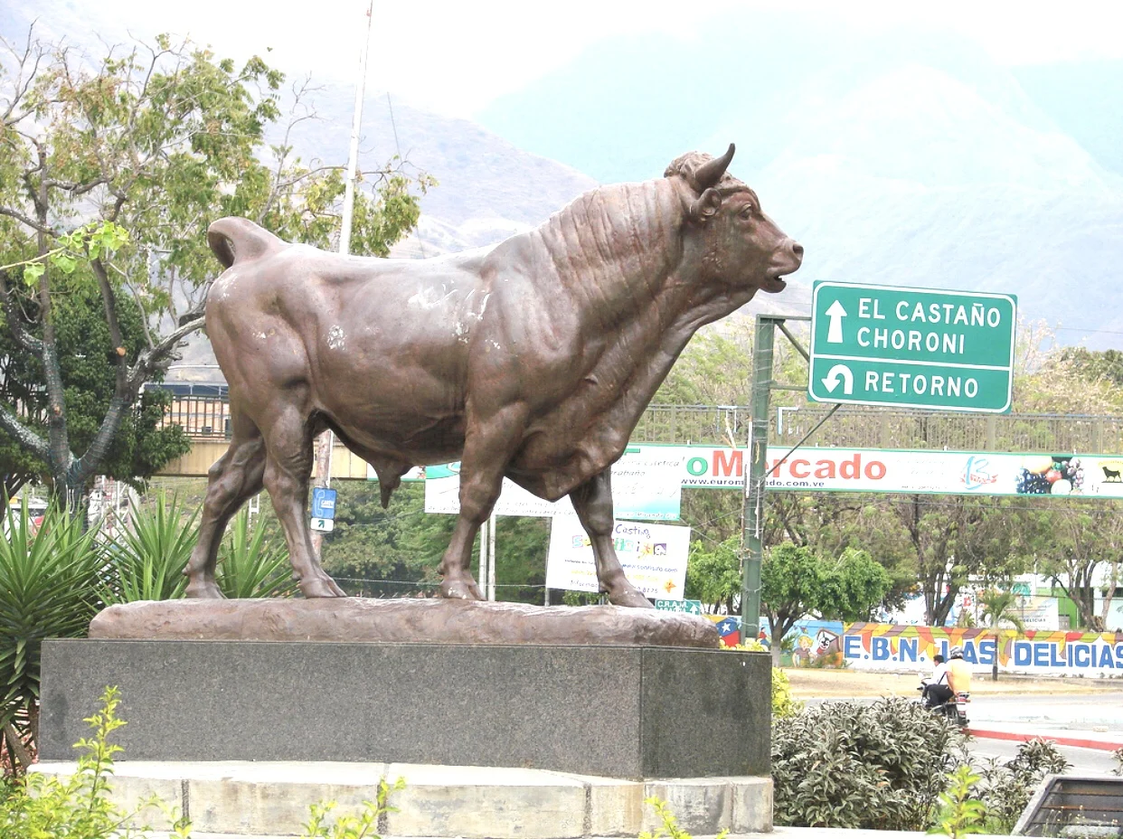 Bull Casting Bronze animal Outdoor life size brass wild Sculpture metal decor craft statue