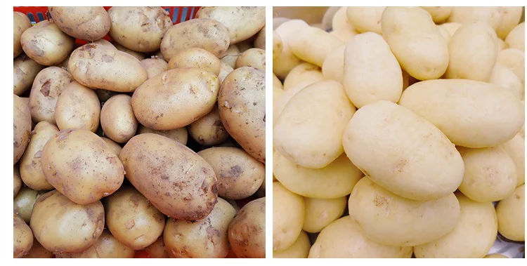 в Россию щёточная машина для мытья и пилинга картофеля