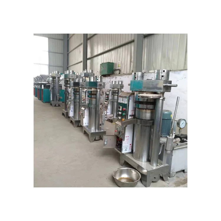 automatic edible oil extraction machine olive avocado hydraulic oil pressing machine 2022 hot selling cold oil press machine