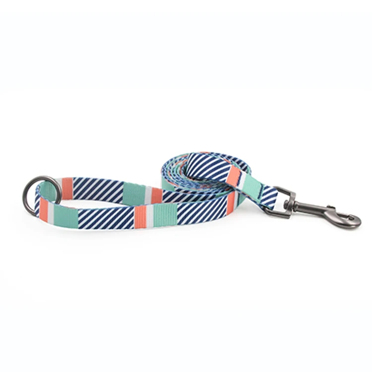 Puppy multi stripes step in sublimation designers dog harness and leash set