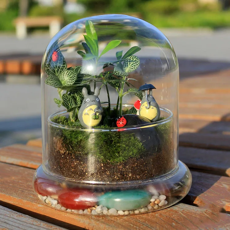 Glass Preserved Flower Dome Display Clear Cloche Bell Jar Terrarium