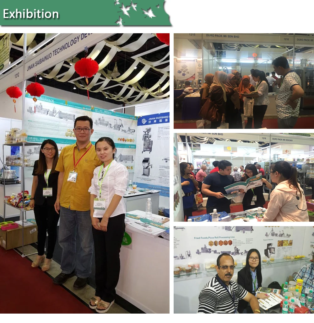 CHINA 100kg/h Fully automatic single color dog pet treats chews snack food machine extruder production line