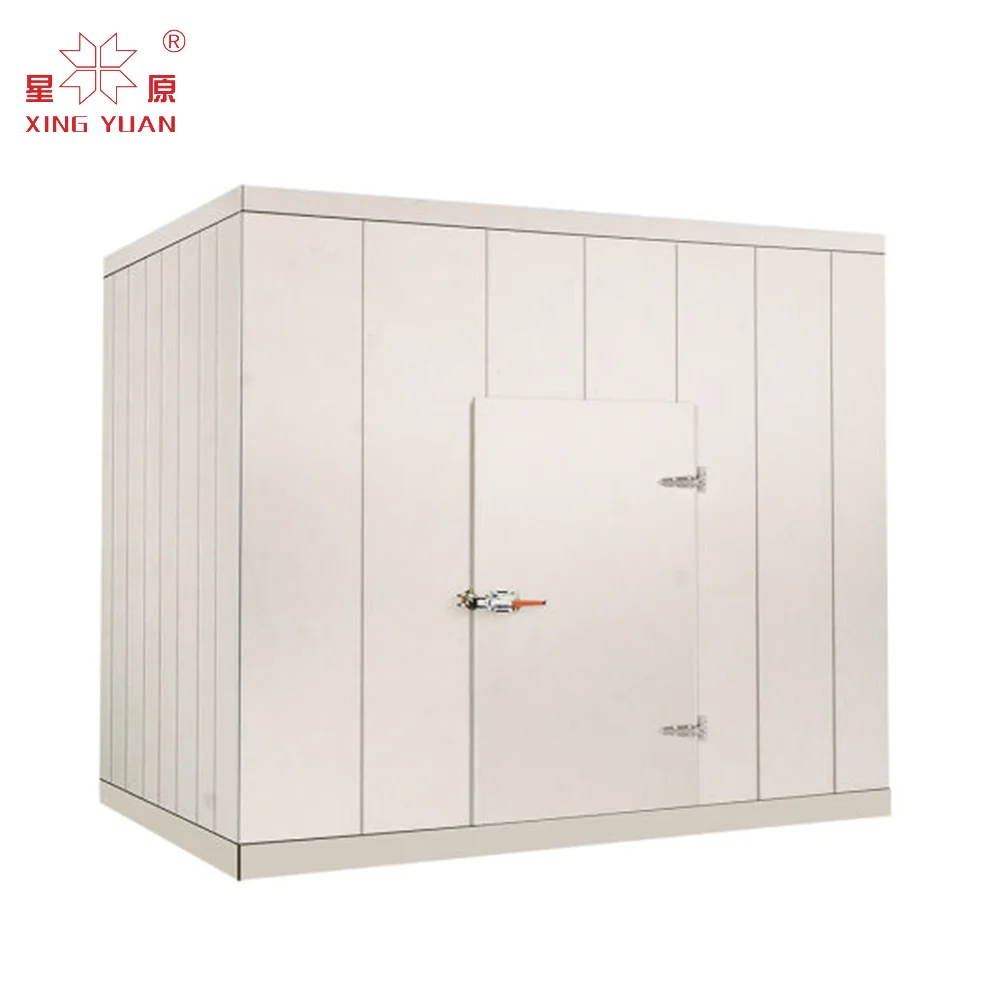 China Factory Supplied Top Quality Blast freezer cold room refrigerator freezer walk-in freezer room