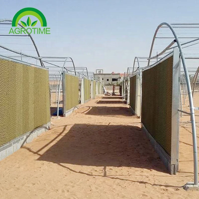  high-efficiency glasshouse agricultural production greenhouse Economical for