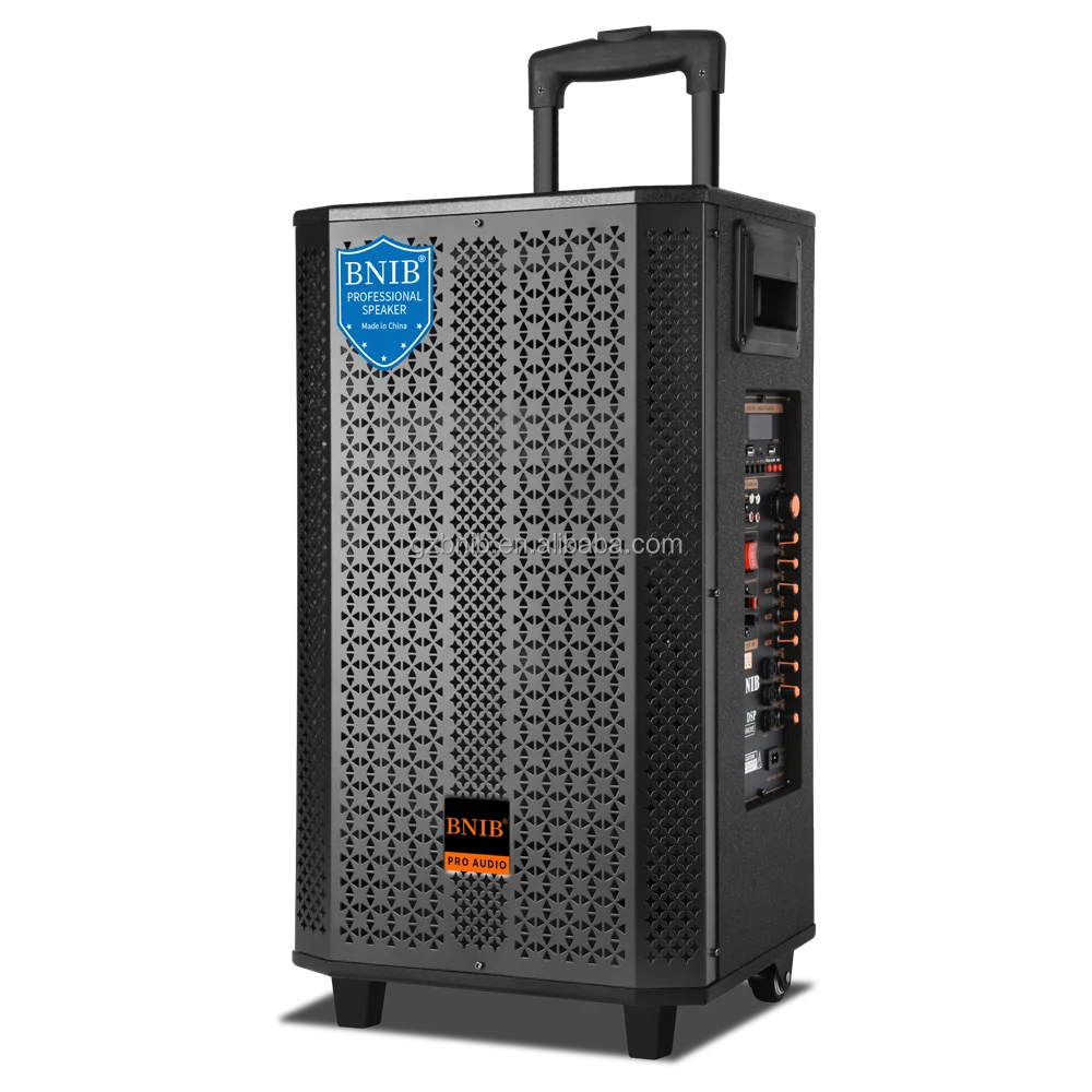 China Factory Speaker Box 18 Inch Speaker Wooden Sound Equipment/Amplifiers/Speaker ODM Karaoke Audio System Wholesale