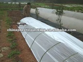 VERVE Plastic Perforated Tunnel Mulch Film for Greenhouse in Bag Packing