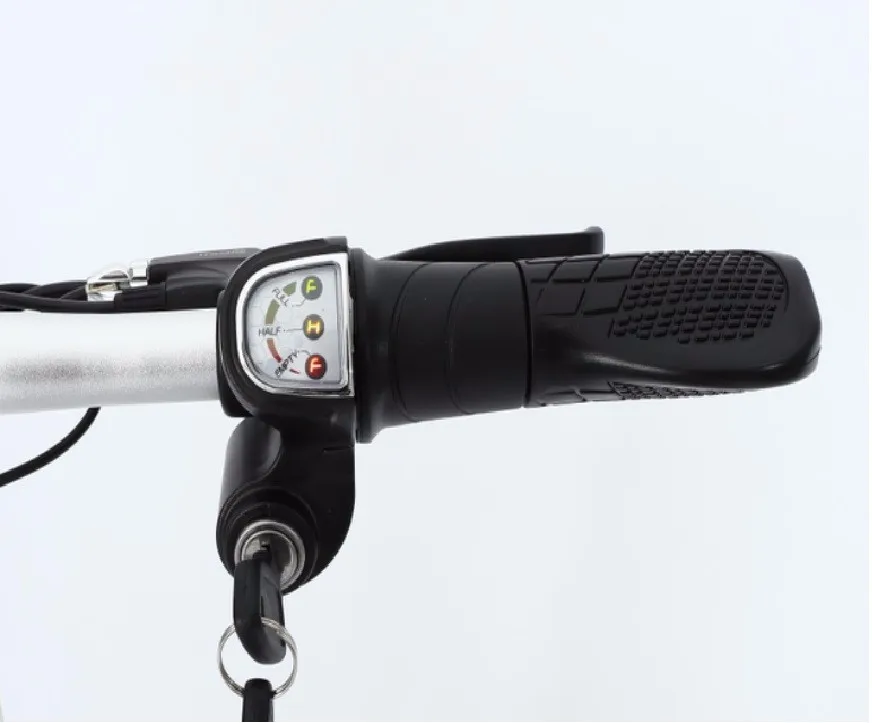 Hot Sale Cheap Mini 14 Inch Foldable Electric Bike 48V 10Ah Electric City Bike Folding Electric Bicycle downhill