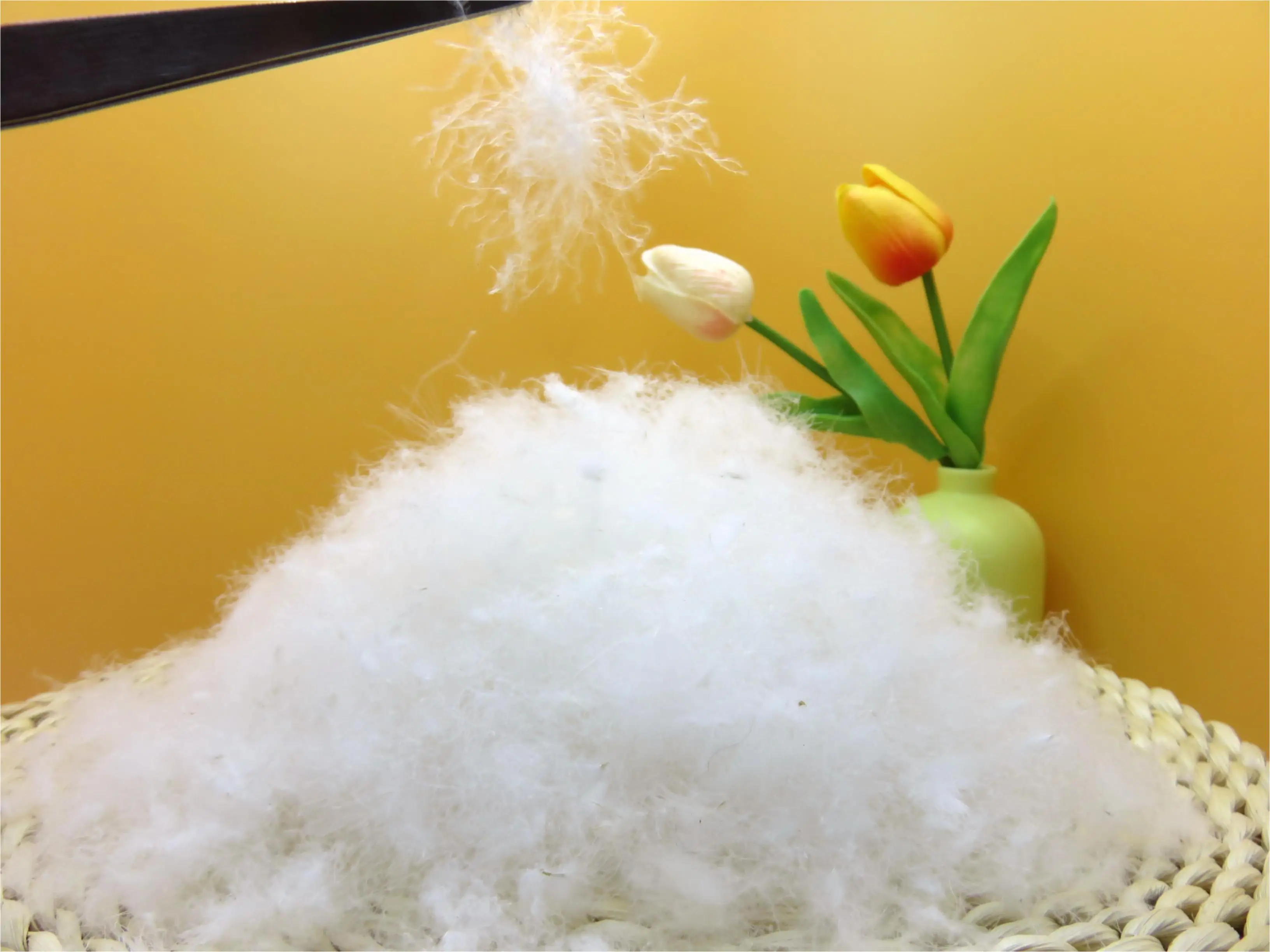 80% White Goose down Feather Product