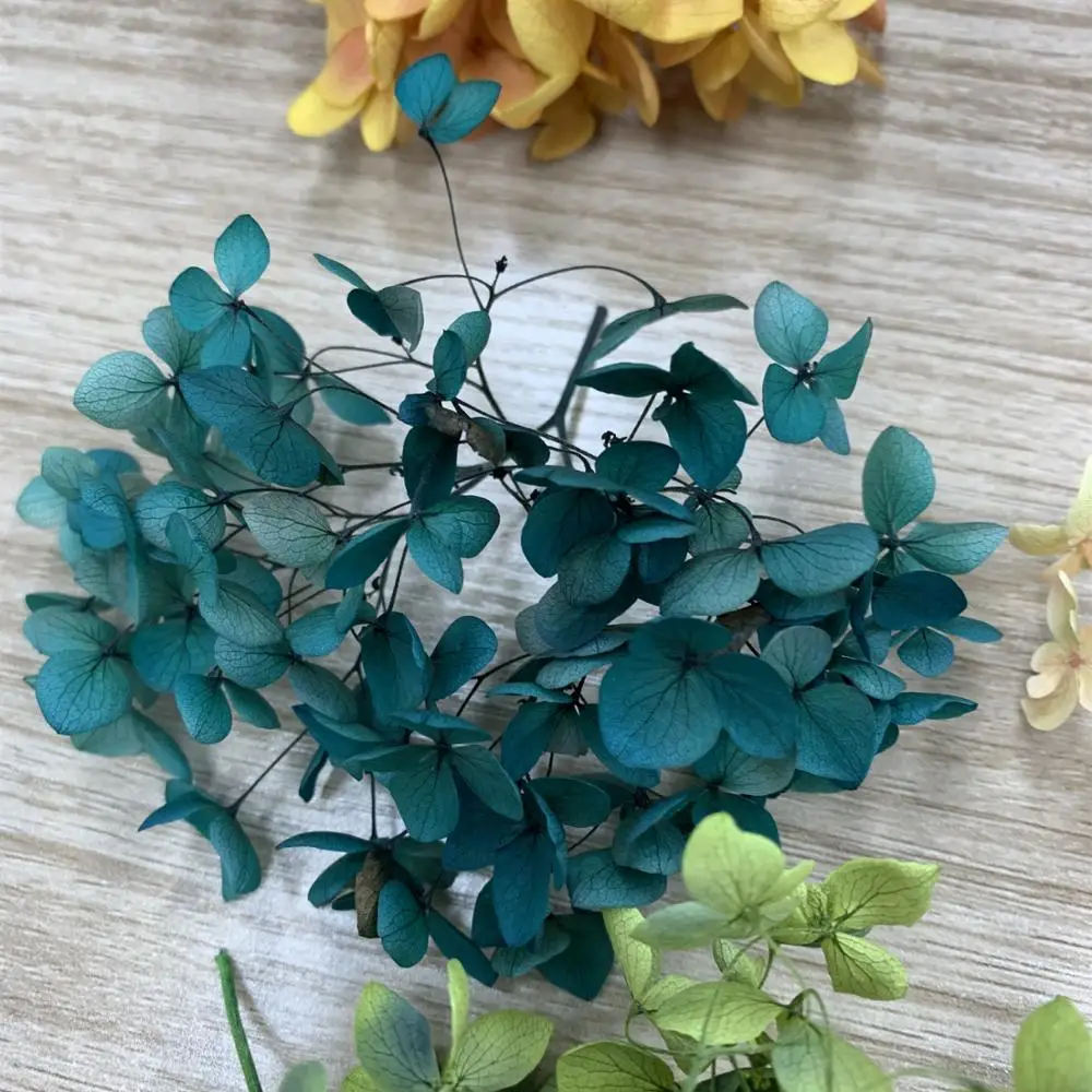 Preserved hydrangea  small leaf real touch hydrangea dried hydrangeas for flower DIY