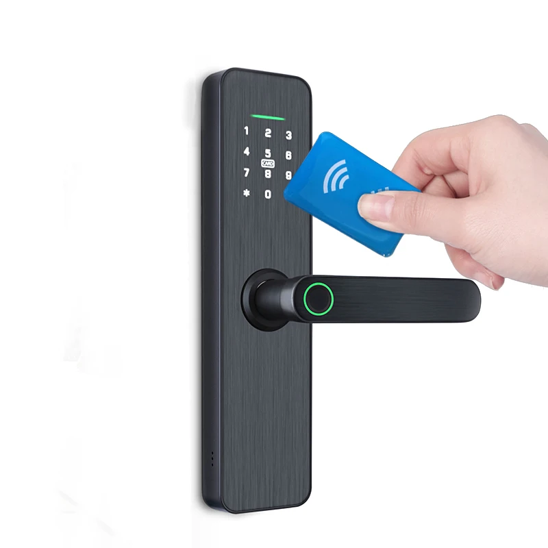 Zinc Alloy Security Digit Electronic Handle Digital Tuya Cerraduras Inteligentes Con Wifi Keys Fingerprint Door Smart Locks