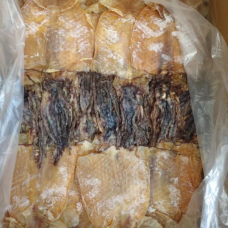 dried squid whole 14