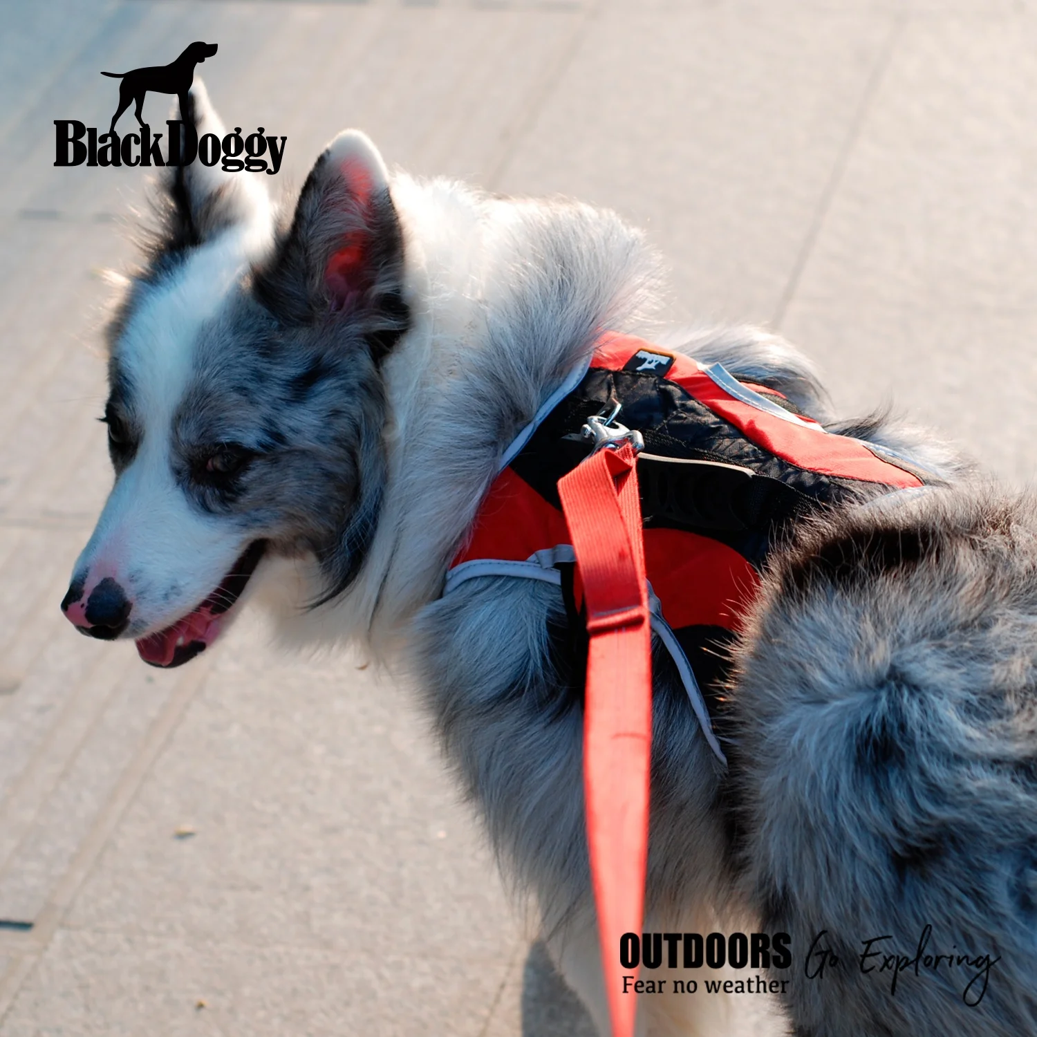 BlackDoggy CB Pet Apparel Heavy Duty Harness Tactical Dog Vest with Support Handle