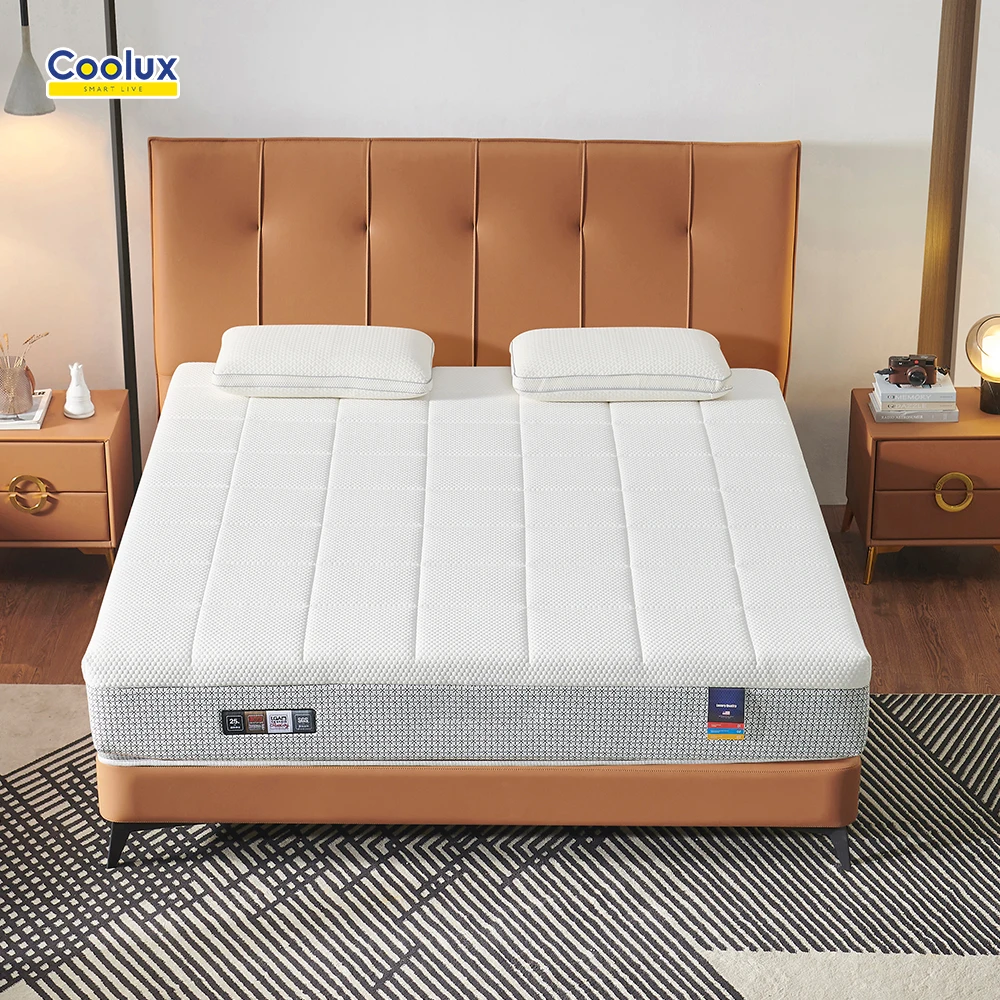 Top Fashion Comfortable 5 Star 40 Density Foam Sleepwell Mattress Sale Online