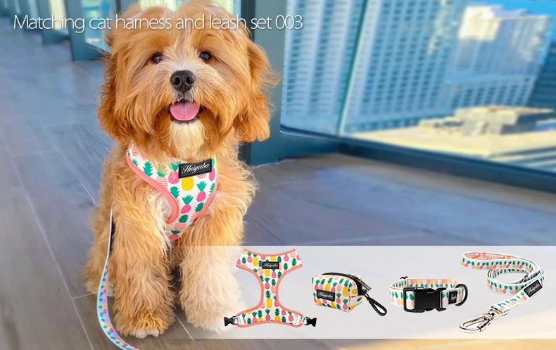 03dog harness set.jpg