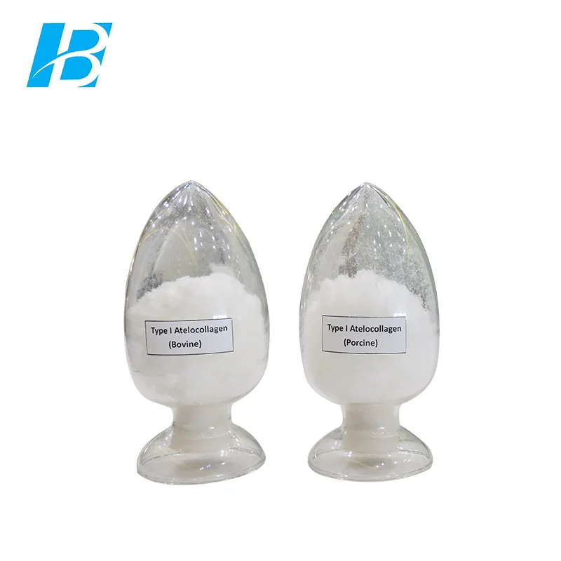Freeze-dryed Collagen Powder