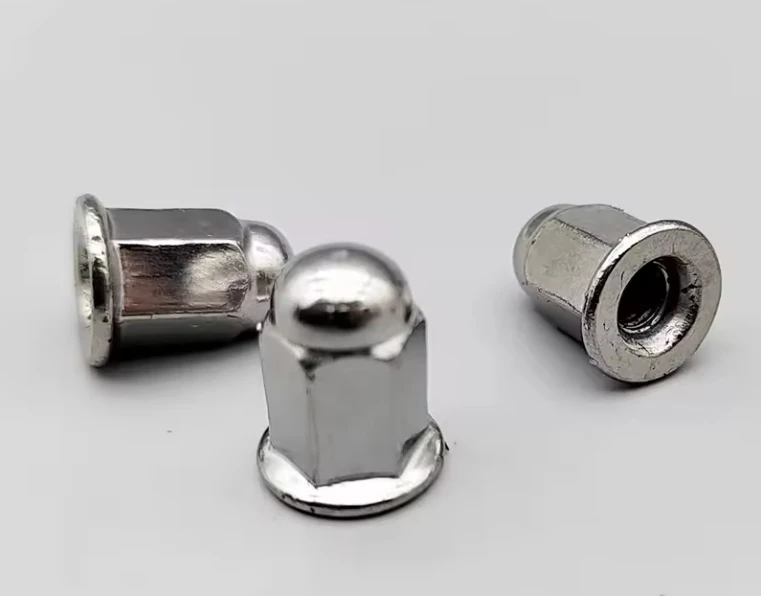 4mm 6mm M10 M6 M8 High Quality Cap Nut Hex Dome Nuts Acorn Hot Sale