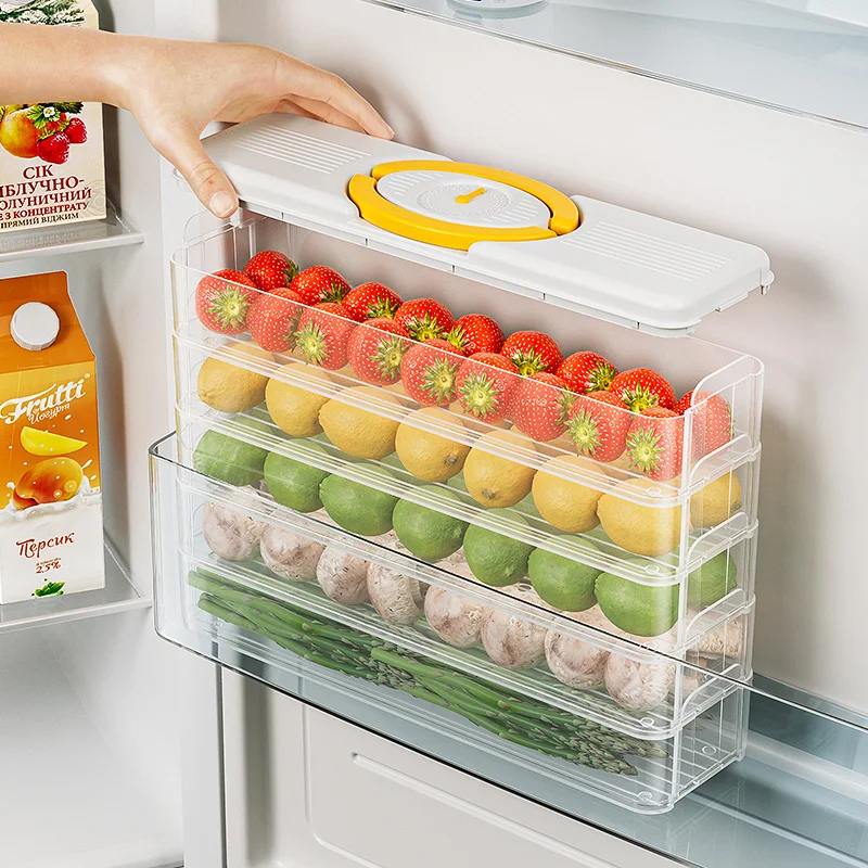 Multilayer Dumpling Storage Box Food Container Refrigerator Organizer