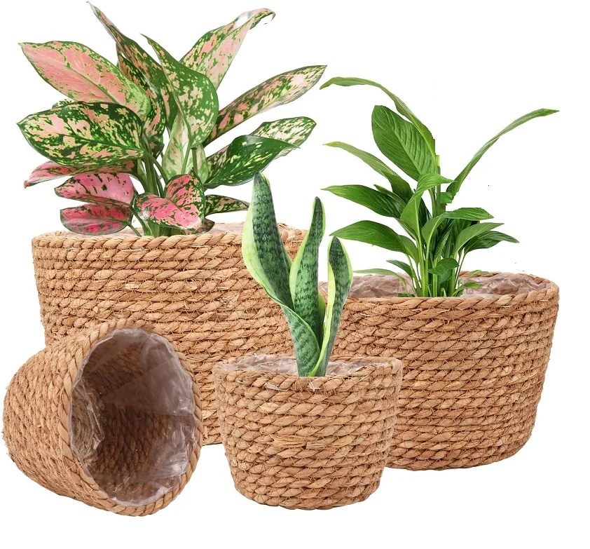 Eco-Friendly Small Medium Large Size Natural Seagras Flower Pots Planters Plant Basket And Waste Bin