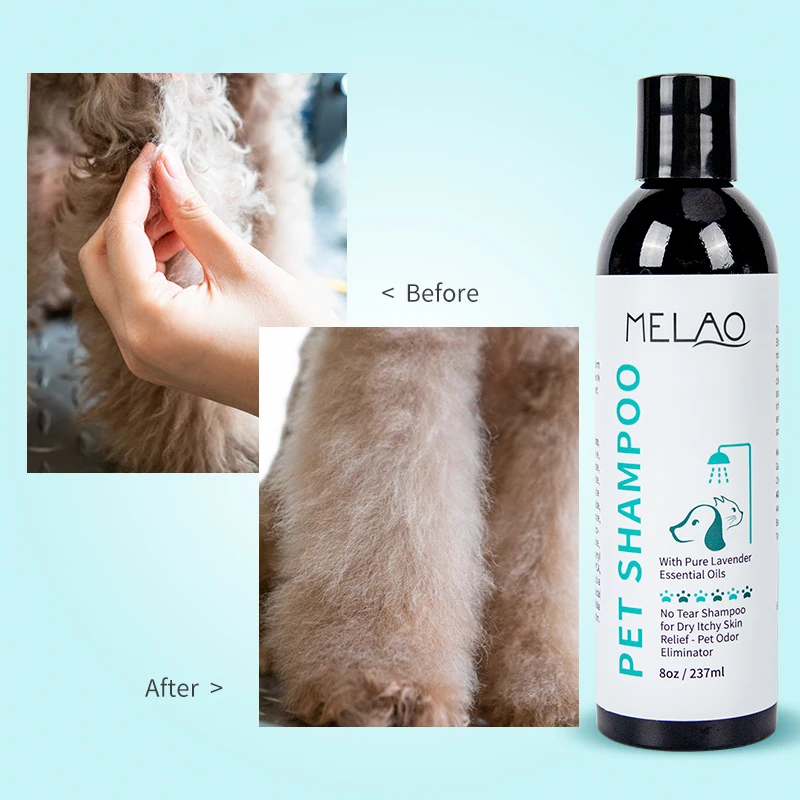 Private label/MELAO antiparasitic dog pet dry shampoo foam