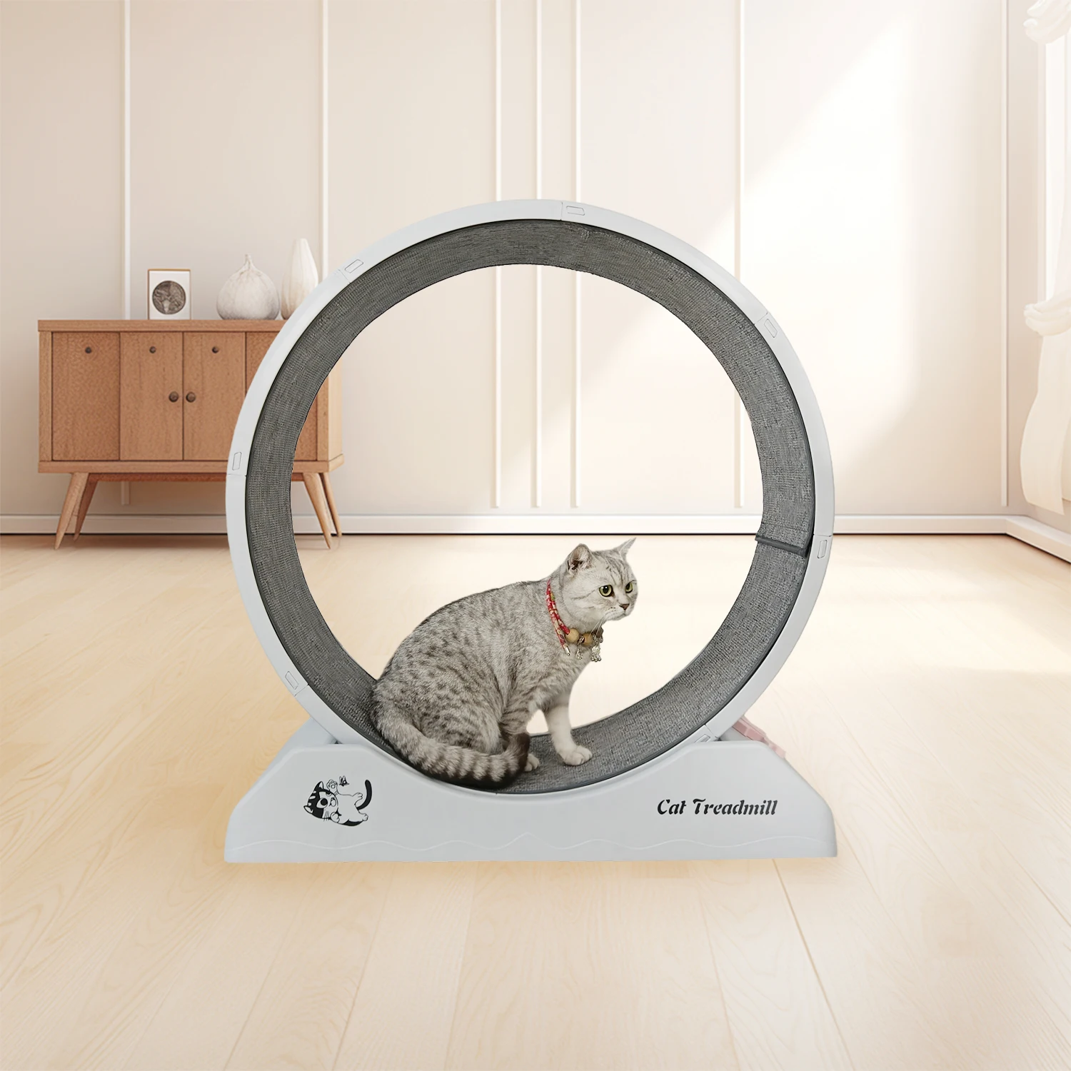 2024 New Model Pet Interactive Motion Toys  other pet toys cat treadmill  wheel cat running lose weight