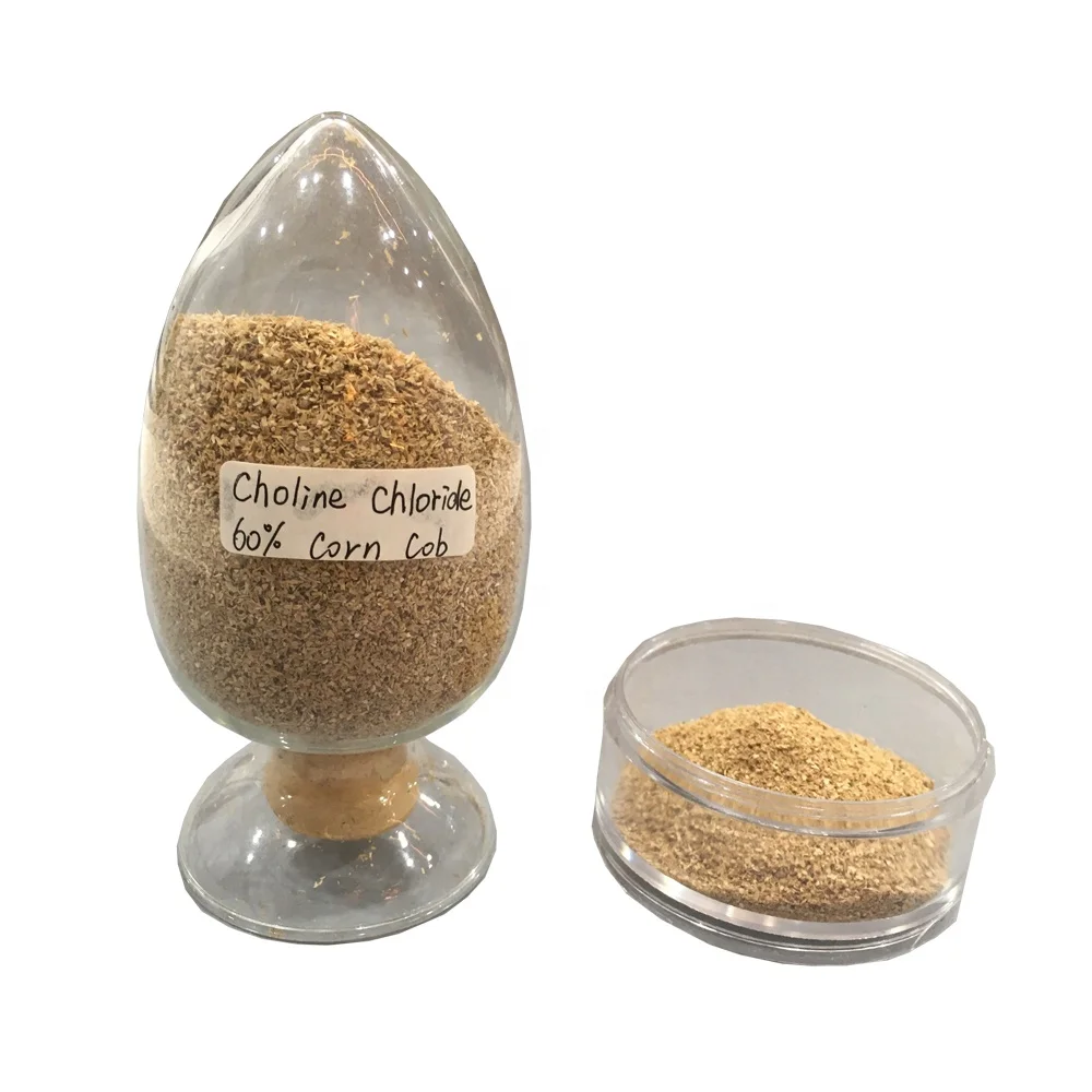 2024 New Product 60% Choline Chloride Corn Cob Poultry Feed Amino Acid Animal Feed Fish Pig Horse Cat Dog Variety Palm Packaging